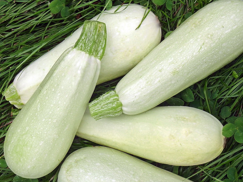 Tekvica Kveta biela na varenie